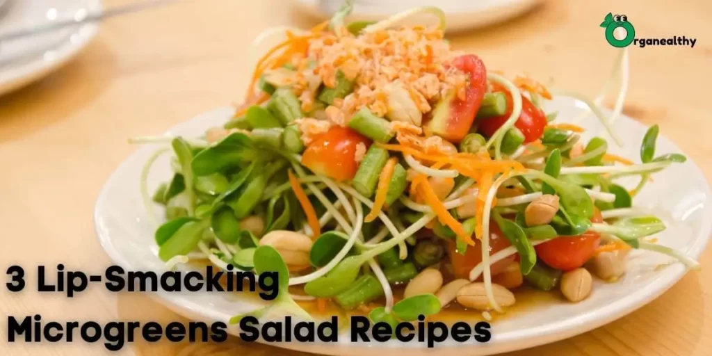 microgreens salad 3 Lip Smacking Microgreens Salad Recipes 1