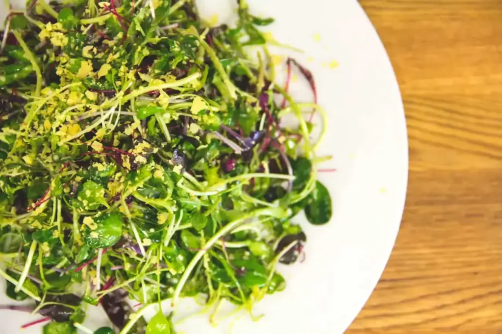Vegan, Nut-free Microgreens Salad