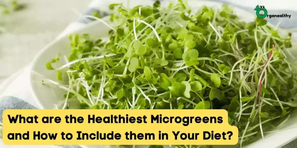 What-are-the-Healthiest-Microgreens-and-How-to-Include-them-in-Your-Diet