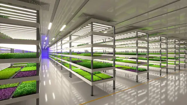 types of indoor grow lights for microgreens